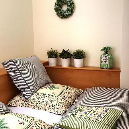 Apartman 6 U Sjezdovek Рокитніце-над-Їзероу Екстер'єр фото