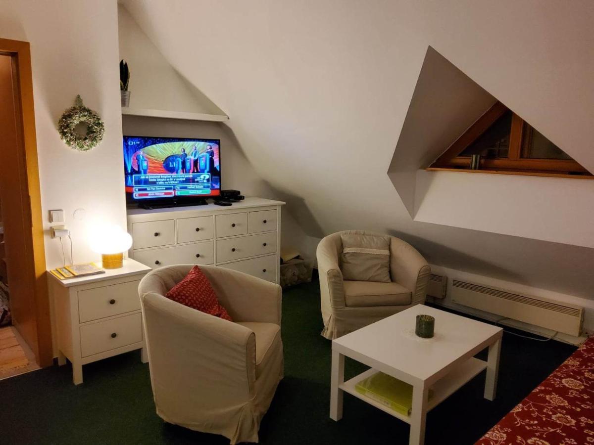 Apartman 6 U Sjezdovek Рокитніце-над-Їзероу Екстер'єр фото
