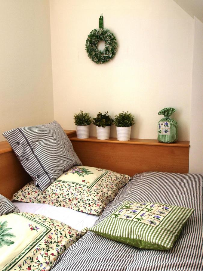 Apartman 6 U Sjezdovek Рокитніце-над-Їзероу Екстер'єр фото